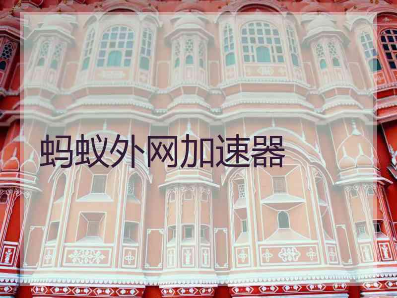 蚂蚁外网加速器