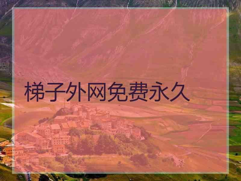 梯子外网免费永久