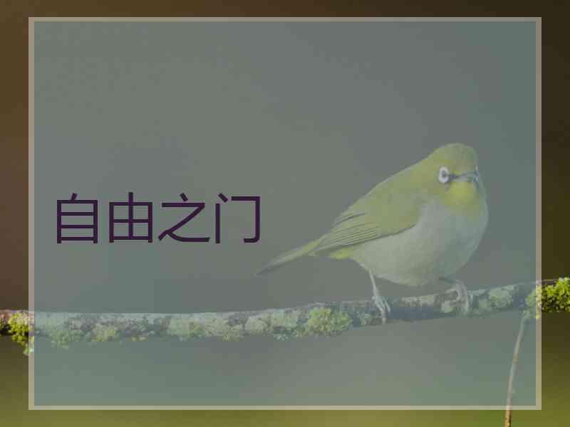 自由之门