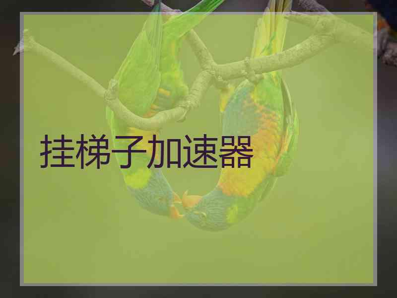 挂梯子加速器