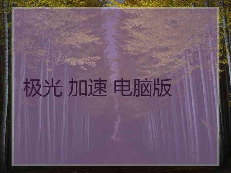 极光 加速 电脑版