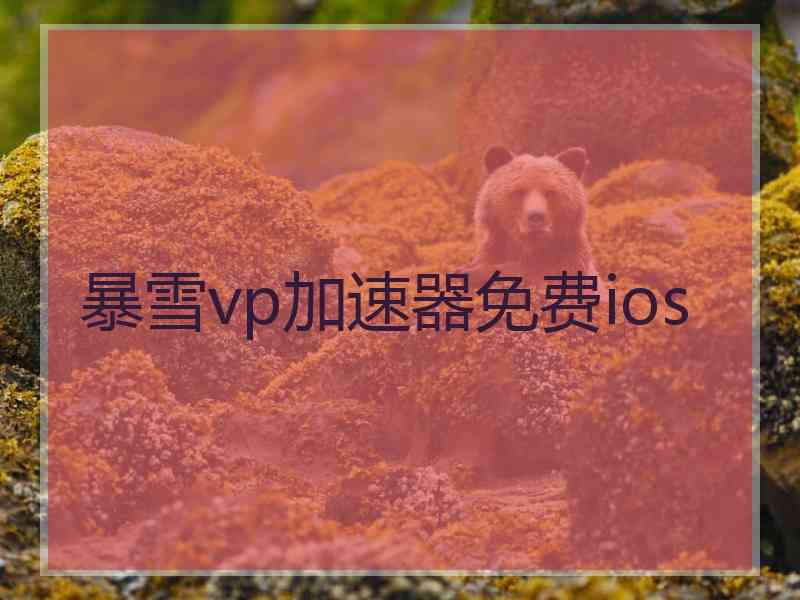 暴雪vp加速器免费ios