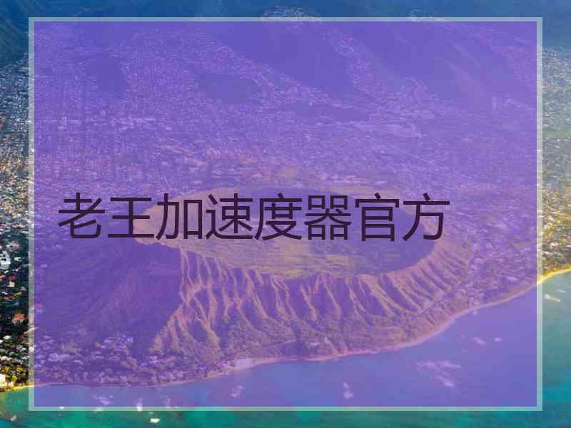 老王加速度器官方