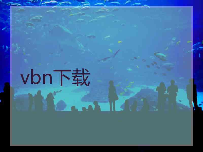 vbn下载