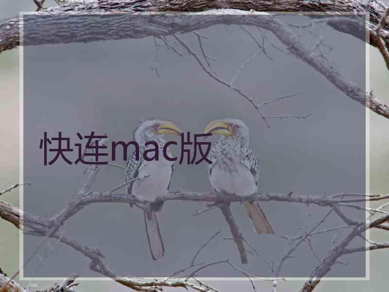 快连mac版