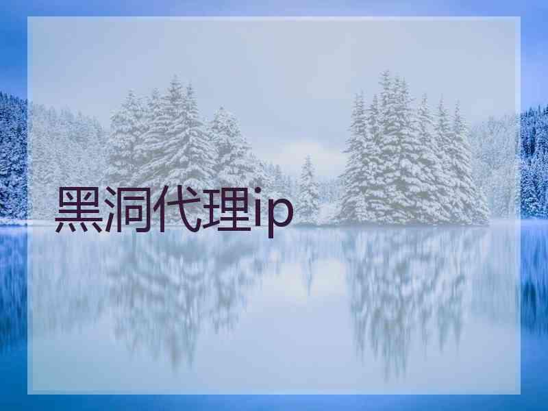 黑洞代理ip
