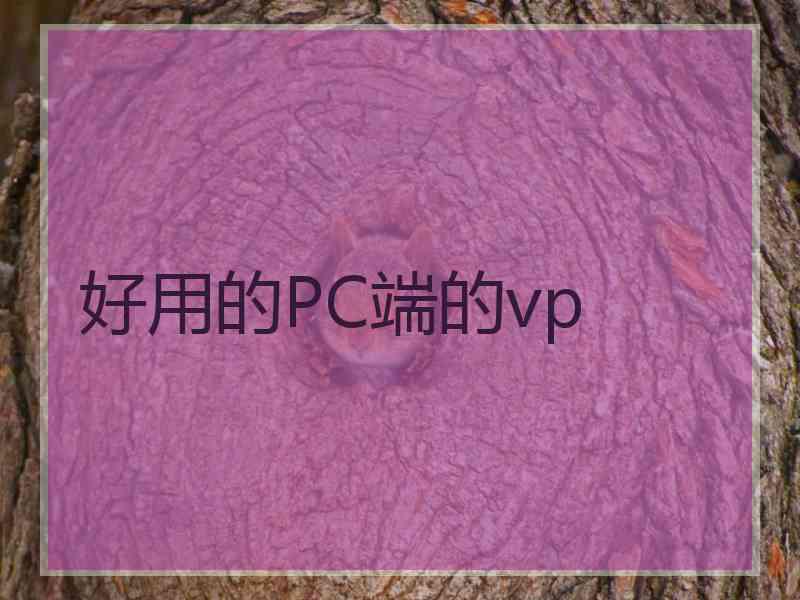 好用的PC端的vp