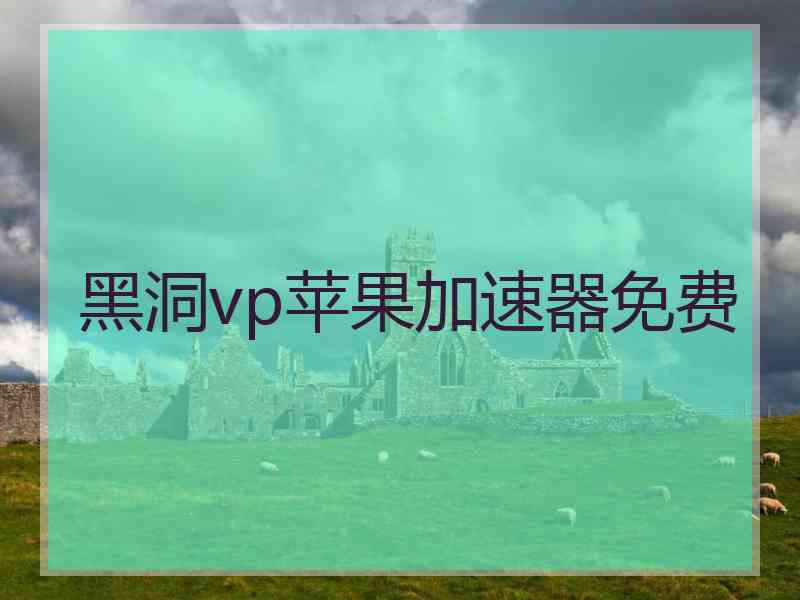黑洞vp苹果加速器免费