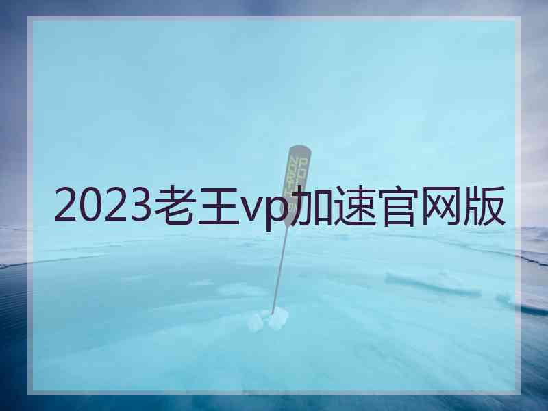 2023老王vp加速官网版