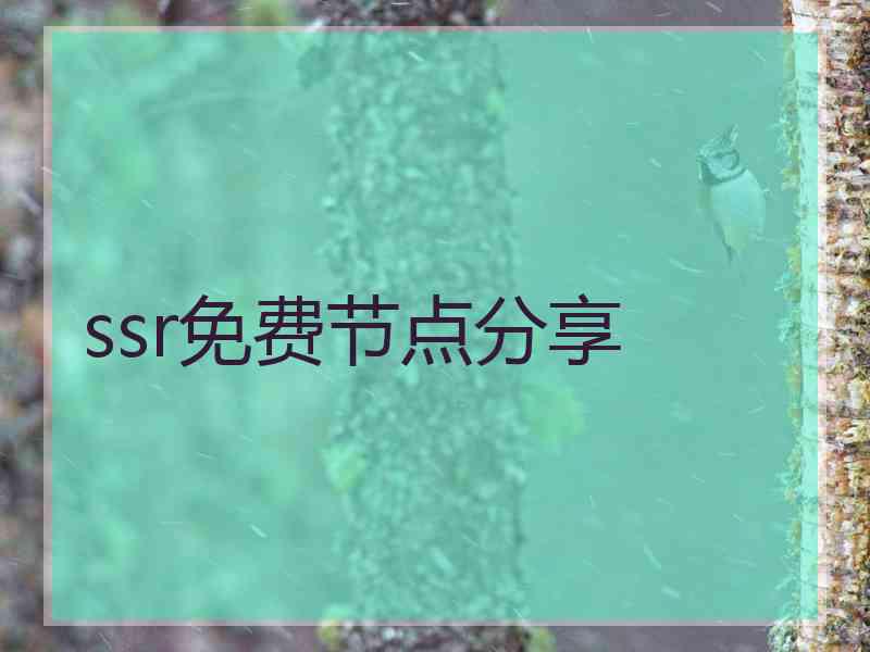 ssr免费节点分享