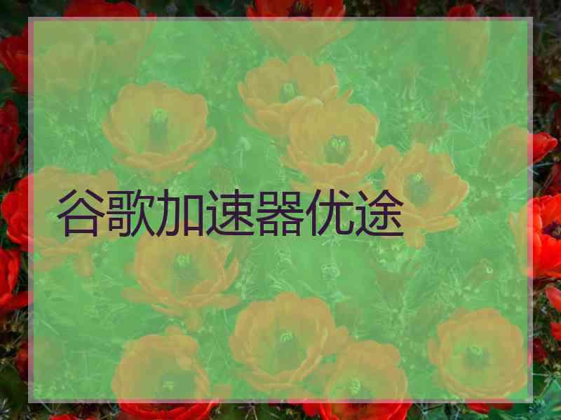 谷歌加速器优途