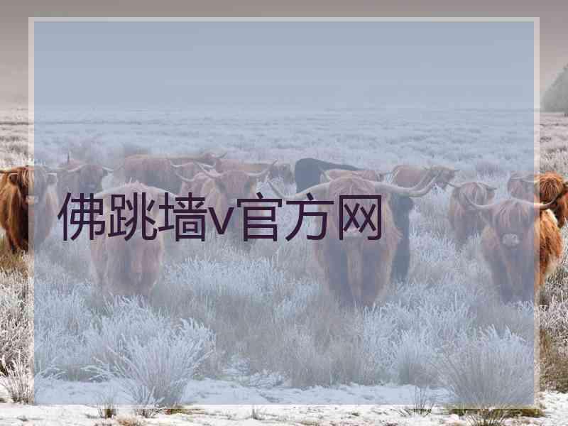 佛跳墙v官方网