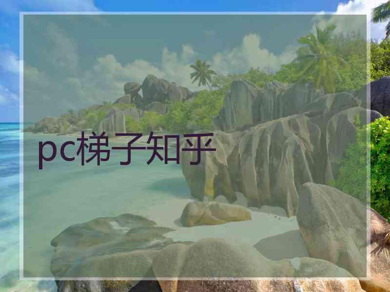 pc梯子知乎