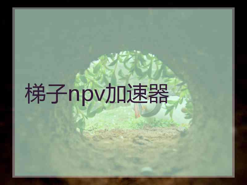 梯子npv加速器