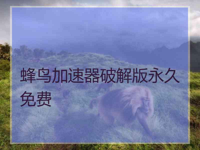 蜂鸟加速器破解版永久免费