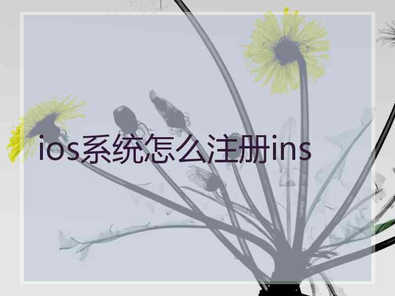 ios系统怎么注册ins