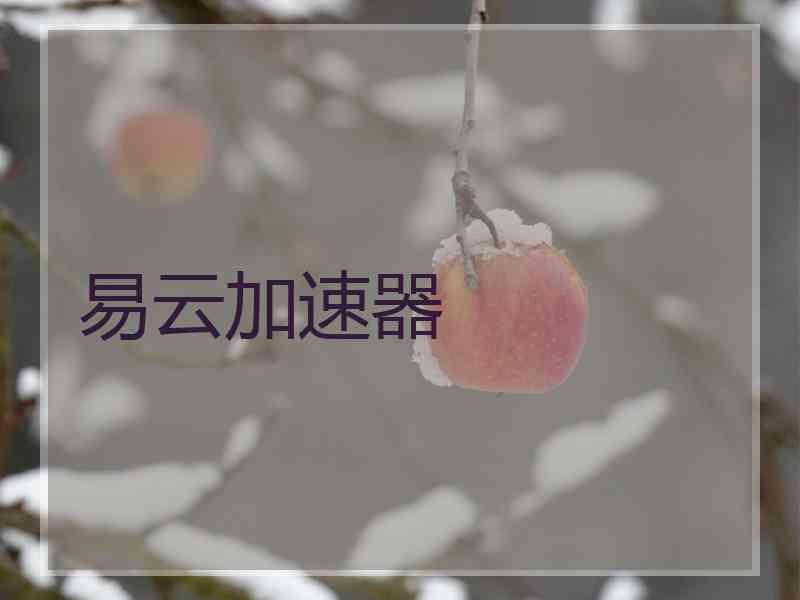易云加速器