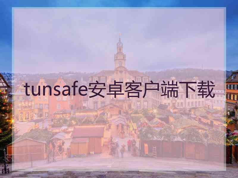 tunsafe安卓客户端下载