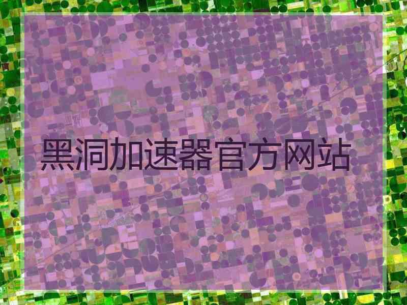 黑洞加速器官方网站