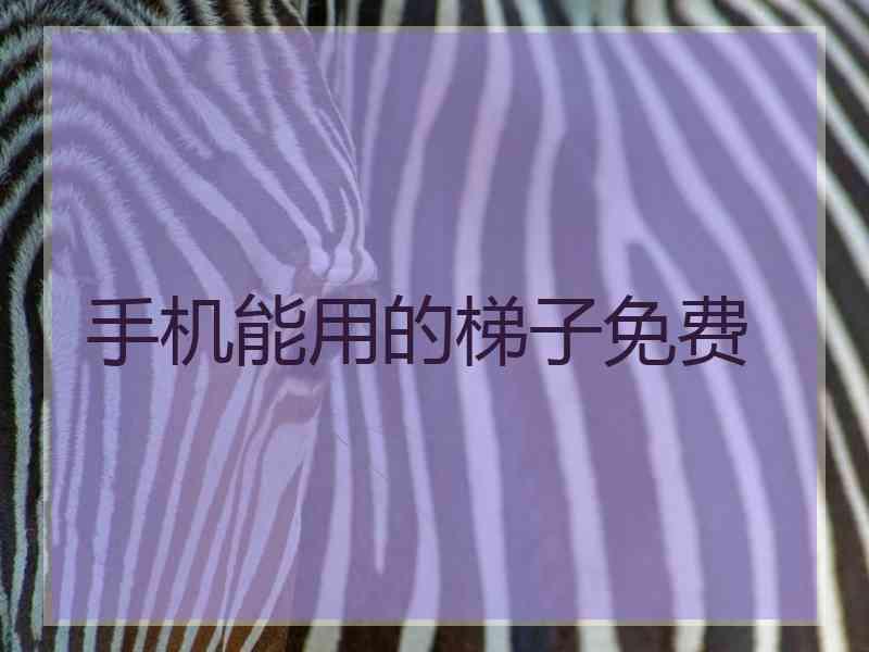 手机能用的梯子免费