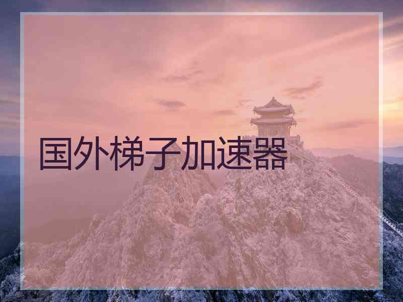 国外梯子加速器