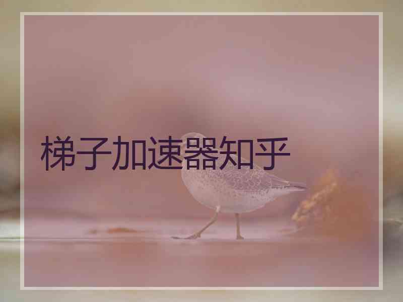梯子加速器知乎