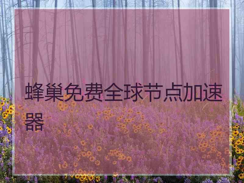 蜂巢免费全球节点加速器