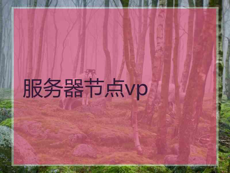 服务器节点vp