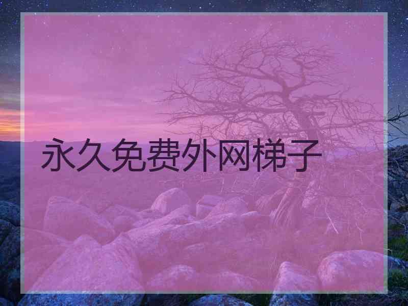 永久免费外网梯子