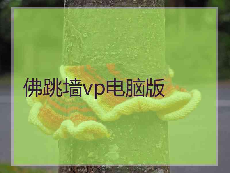 佛跳墙vp电脑版